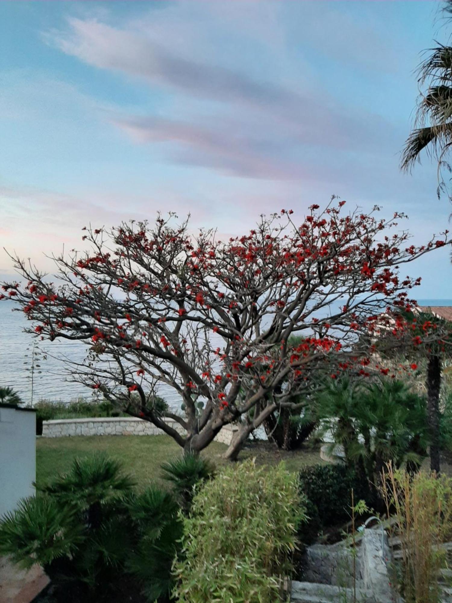 Appartamento In Villa Al Mare - Baia Di Arcile Brucoli Zewnętrze zdjęcie